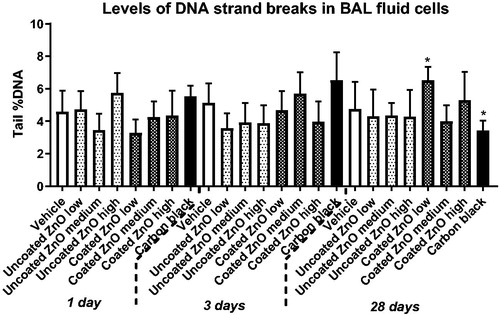 Figure 5. Levels of DNA strand breaks in BAL fluid cells at 1, 3 and 28 days of ZnO nanoparticle exposure. Uncoated (uncoated ZnO) or triethoxycaprylylsilane-coated ZnO nanoparticles (coated ZnO) were administered by intratracheal instillation at 0.2, 0.7 or 2 µg/mouse. Low, medium and high designates low-dose, medium-dose and high-dose, respectively. Carbon black at 162 µg/mouse was included as reference material. One, three or twenty-eight days later BAL fluid cells were prepared and levels of DNA strand breaks measured as percent DNA in the tail by comet assay. Data are mean and bars represent SD. * designates p-values of <0.05 vs. vehicle of one way ANOVA with Holm–Sidak’s multiple comparisons test. In the case of carbon black data were tested with t-test.