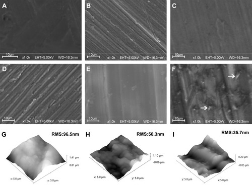 Figure 2 SEM and AFM images of different surfaces.Notes: SEM or AFM images of (A&G) Ti; (B) Ti-PEI, Ti after PEI priming; (C) Ti-PEI-HA, Ti-PEI after single HA coating; (D) Ti-PEI-HA-CS, Ti-PEI after HA-CS coating; (E&H) HA/CS, Ti-PEI coated with multilayer of HA-CS; (F&I) HA/CS-L, Ti-PEI coated with multilayer of HA-CS with PAC-low immobilization. Arrow indicates agglomerated PACAbbreviations: CS, chitosan; HA, hyaluronic acid; PAC, proanthocyanidins; PEI, polyethyleneimine; Ti, titanium.