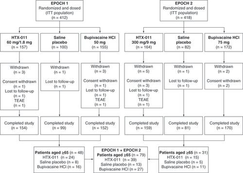 Figure 2. CONSORT flow diagram.ITT: Intent to treat; TEAE: Treatment-emergent adverse event.