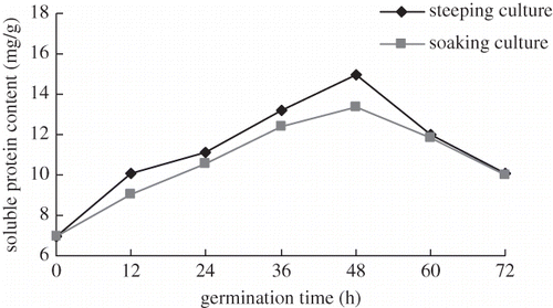 Figure 2 Comparison of protein content at different time. Germination temperature: 32°C.