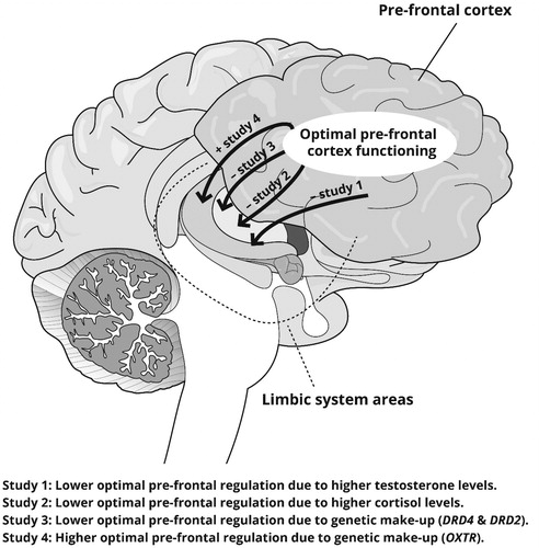 Figure 4. Prefrontal regulation studied in the first four proximate studies.