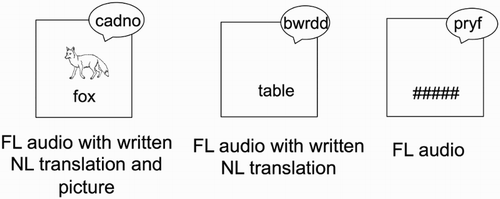Figure 1 Example of the three types of word presentations during the incidental learning phase (letter-search task). FL = foreign language; NL = native language.