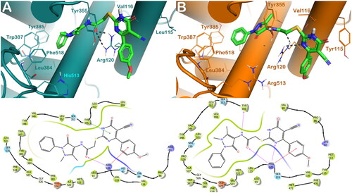 Figure 5. (A) Proposed binding interactions 8d into COX-1 enzyme (PDB ID 6Y3C). (B) Proposed binding interactions 8d into COX-2 enzyme. In the ligand-interaction diagrams the magenta arrow represents the H-bond, the green line the π–π stacking, the red line the cation-π stacking.