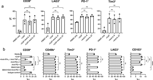 Figure 5. CAF-induced CD39 expression can be inhibited by neutralizing IFN-γ and TNF-α or by inhibition of TGF-β signaling a) Expression of CD39, LAG-3, PD-1 and Tim3 on CD8 + T cells activated either alone (PBMC-only) or in co-culture with CAF (+CAF) in the presence of neutralizing antibody together IL-6 or IL-27. b) Expression of CD39, CD49b, Tim3, PD-1 LAG3 and CD103 on activated CD8+ T cells either cultured alone (media) or in co-culture with CAF (+CAF) and neutralizing antibodies to IFN-γ and TNF-α, anti-PD-L1, anti-PD-1, SB431542, SB431542+ anti-PD-1 or isotype control antibody as indicated. Error bars show standard deviation of triplicate wells. Significance shown for each parameter when compared to +CAF. Results for SB431542 are representative of those from three repeat experiments using different PBMCs. For PD-1, NA where PD-1 blockage used with PD-1 surface levels. One way ANOVA was used for all statistical analysis with Tukey’s multiple comparisons posttest (ns = not significant,* P = <0.05, ** P = <0.01, *** P = <0.001, ****P = <0.0001)