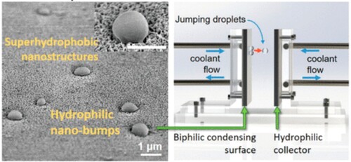 Figure 5. Biphilic nanostructured surface and water collector design. Images reproduced without modification from [Citation13].