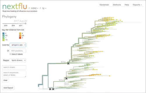 Figure 2. nextFlu display of influenza phylogenetic tree.Citation12