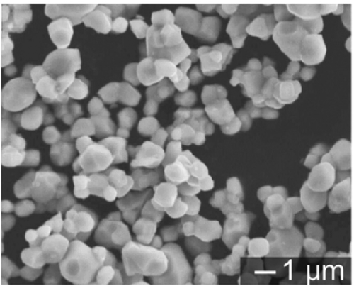 Figure 8. Scanning electron microscopy (SEM) micrograph of Sm2Fe17N3 fine powder synthesized by reduction diffusion process [Citation42]