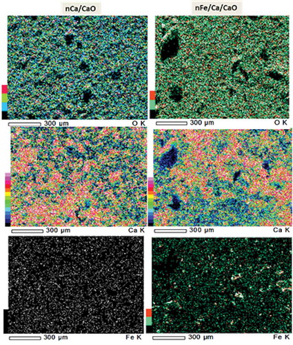 Figure 3. SEM-EDS elemental mapping of nCa/CaO and nFe/Ca/CaO surfaces.