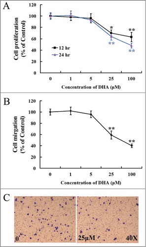 Figure 1. Dose responsive curve for endothelial cell proliferation and migration with DHA treatment. (A) MTT assay for HUVECs treated with DHA at different concentrations for 12 hrs and 24 hrs. n = 6; *, P < 0.05; **, P < 0.01; (B) Transwell migration assay for HUVECs treated with DHA at different concentrations for 12 hrs. n = 4; *, P < 0.05; **, P < 0.01. (C) Representative images of transwell migration assay treated with 0 and 25 μM DHA.