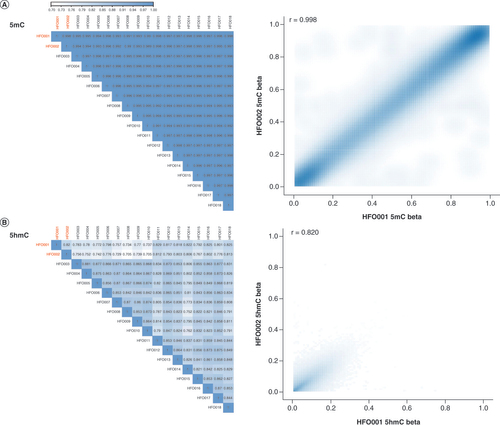 Figure 3. Evaluation of the stability of the 5-methylcytosine and 5-hydroxymethylcytosine signals using 18 pairs of replicate human fetal oligodendrocyte samples. (A) The 5mC signal is highly stable in the replicates with the Pearson’s r >0.99 for any pair. For instance, the Pearson’s r between HFO001 and HFO002 is 0.998 for 5mC. (B) The Pearson’s r ranges from 0.70 to 0.88 for the 5hmC signal. The Pearson’s r between HFO001 and HFO002 is 0.820 for 5hmC.5hmC: 5-hydroxymethylcytosine; 5mc: 5-methylcytosine; HFO: Human fetal oligodendrocyte.