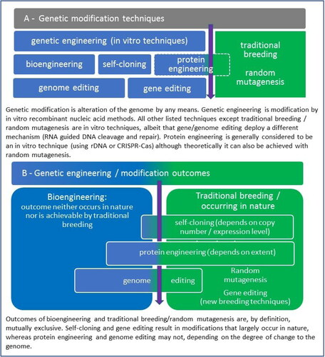 Figure 1. Differentiation among genetic modification techniques (A) and modification/engineering outcomes (B).