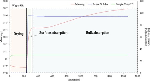 Figure 3. Kinetics of water sorption on the WG 60 K filler sample.