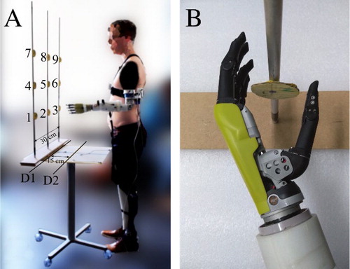 Figure 1. Experimental setup. (a) participant standing in the initial position. 9 targets are shown for 2 distances (D1, D2). (b) Hand position with respect to the target when successfully reaching a target.