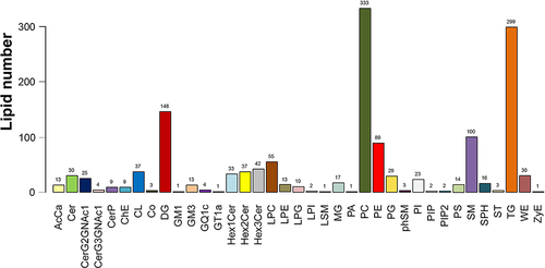 Figure 1 Classification of the identified lipids.