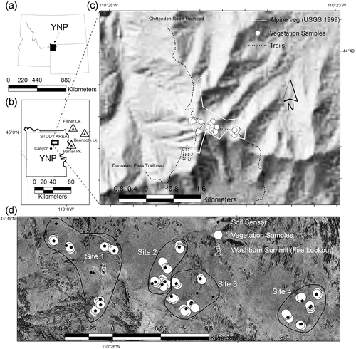 FIGURE 1 Overview of study area. Figures (a) and (b) locate Yellowstone National Park (YNP) and the study area. Figure (c) shows the topography of Mount Washburn. The extent of alpine vegetation is based on the vegetation classification of YNP by CitationDespain (1990). Figure (d) shows the sampled sites (sites 1–4) on the four major Mount Washburn summits, vegetation plots, and soil sensors locations. A fire lookout is built on the main (highest) Washburn summit within site 1, which adjoins the summit weather station. Note the presence of supplementary soil sensors.