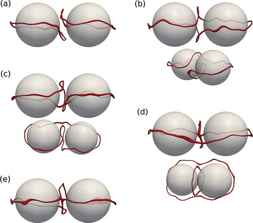 Figure 6. (Colour online) Defect structures (red) observed for two nanoparticles (grey) of radius in close proximity (). Some are shown from two angles for clarity. (a) Two separate Saturn rings (2 SR), (b) figure of eight (), (c) figure of omega (), (d) figure of theta () and (e) intermediate defect structure (Linked).