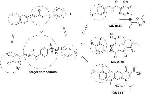 Figure 1.  Conception of CAPE-like analogues IN inhibitors.