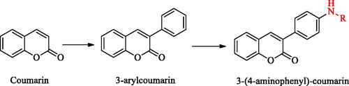 Scheme 1. Structural derivation of 3-(4-aminophenyl)-coumarins.
