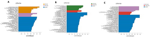 Figure 5. Linear discriminant analysis (LDA) effect size in groups. The X-axis represents LDA score (Log10) and the Y-axis represents significantly different fecal bacterial species (LDA score > 2). The LDA discriminant histogram counts the microbial groups that have a significant effect in three groups. The larger the LDA score, the greater the effect of species abundance on the difference. (A) Histogram of the LDA scores computed for differentially abundant species between the control and MF group at baseline and week 12. (B) Histogram of the LDA scores computed for differentially abundant species between the control and COM group at baseline and week 12. (C) Histogram of the LDA scores computed for differentially abundant species between the control, MF, and COM group at week 12.