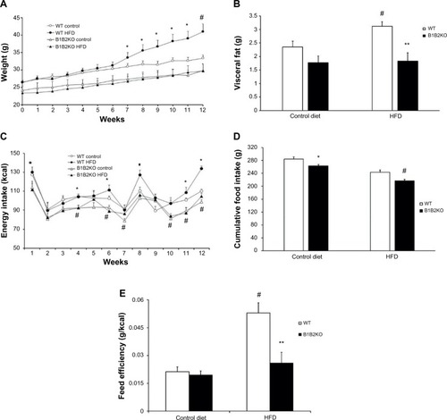 Figure 2 B1B2KO mice are protected against obesity induced by HFD treatment and present lower food intake and feed efficiency.