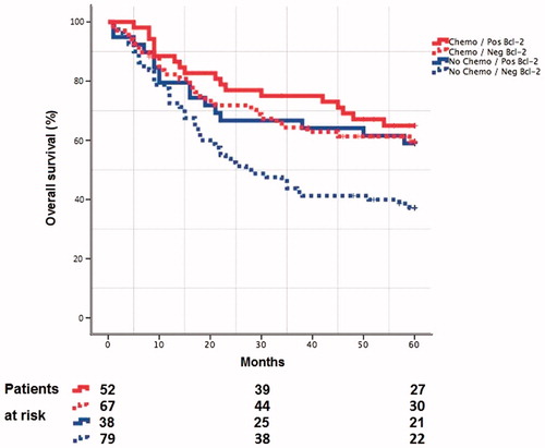 Figure 2. Kaplan-Meier overall survival curves for patients with or without neoadjuvant chemotherapy and different Bcl-2 status.