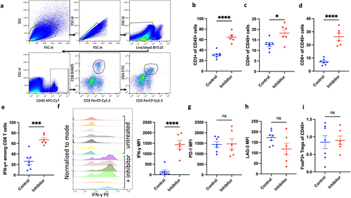 Figure 4. Inhibition of CCR2/CCR5 improves T-cell persistence and effector function in the tumors. (a) Flow cytometry plots showing gating scheme of lymphocytes from tumor-infiltrating immune cells. Flow cytometry analysis comparing abundance of (b) CD3+, (c) CD4+, (d) CD8+ TILs and (e) IFN-y+ CD8 TILs between control (n = 7) and inhibitor group (n = 6) in mice bearing GL261 orthotopic gliomas. (f) Mean fluorescence intensity (MFI) of IFN-y in CD8 TILs from untreated and inhibitor treated mice (g) Comparison of MFI of PD-1 and (h) LAG-3 between mice in control (n = 7) and inhibitor group (n = 6). (i) Comparison of FoxP3+ Tregs between control (n = 7) and inhibitor group (n = 6). Graphs show mean ± SEM. Statistical significance was analyzed by unpaired two-tailed Student’s t test (b-i), *p ≤ 0.05; ***p ≤ 0.001; ****p ≤ 0.0001; ns, not significant.