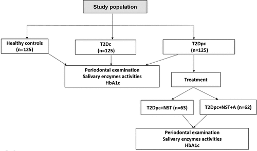 Figure 1. Flowchart showing distribution of the study population : T2Dc(controlled type 2 diabetes with chronic periodontitis), T2Dpc (poorly controlled type 2 diabetes with chronic periodontitis), HbA1c (glycated hemoglobin), NST (non-surgical treatment (scaling+ root planning)), A: antibiotics (amoxicillin and metronidazole).