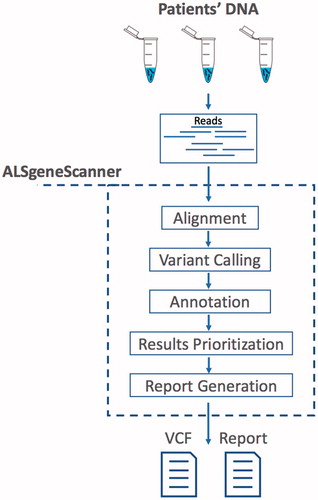 Figure 1. ALSgeneScanner pipeline main steps. From sequencing data in fastq format to the report generation of the results.