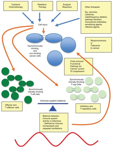 Figure 1 Multiple cancer therapies leading to a final common pathway of action. Notes: Many, if not all, cancer therapies lead to cancer cell damage, antigen release, and danger signals, and a final common pathway of immunomodulation, causing in vivo responsiveness or tolerance to advanced cancer inducing cancer regression or growth, respectively.