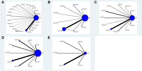 Figure 3 Network plot. (A) Clinical efficacy (B) FEV1, (C) FEV1/FVC, (D) FEV1%, (E) Length of hospital stay.