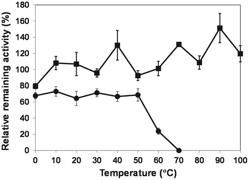 Fig. 3. Thermal stability of OPSS (squares) and His-OASS-B (circles).Notes: The enzymes were incubated for 1 h at temperatures from 0 to 100 °C for OPSS, and from 0 to 70 °C for His-OASS-B, respectively. The relative remaining activities were determined from the activity without incubation as 100. Results are expressed as the mean ± standard deviation from three replicates.