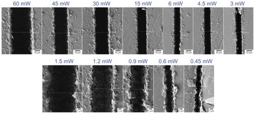 Figure 2 Scanning electron microscopic images of polylactic-co-glycolic acid line patterns fabricated under a constant scanning speed of 0.05 mm/sec and a laser power of 0.45–60 mW.