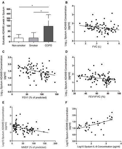 Figure 1 Correlation between sputum ADAM9 levels and subjects’ characteristics. (A) Comparison of sputum ADAM9 levels in subjects of non-smokers, smokers and COPD patients. The bars show the mean ± SD. (B–E) Scatterplots for correlation between log10 sputum ADAM9 levels and (B) FVC, (C) FEV1% of predicted, (D) FEV1/FVC ratio, and (E) MMEF% of predicted (n=84). (F) Scatterplot for correlation between log10 sputum ADAM9 levels and log10 IL-8 concentration in sputum specimen (n=38). *P < 0.05 compared with COPD patients.