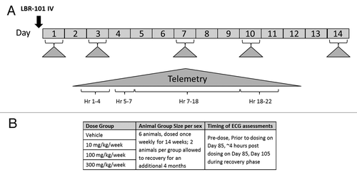 Figure 4. Study schematics. (A) single-dose study; (B): repeat-dose study.