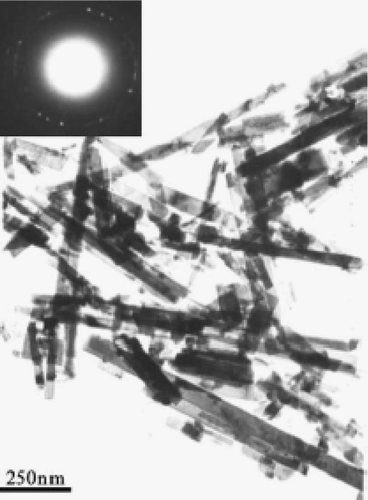 Figure 12. TEM image of CuO nanoribbon obtained by heat treatment of the Cu2Cl(OH)3 nanoribbon Citation35.