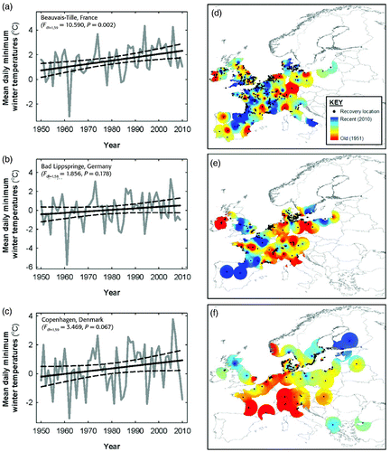 Figure 1. Trends in the mean daily winter (Nov–Feb) temperatures at a) Beauvais-Tille, France, b) Bad Lippspringe, Germany, and c) Copenhagen, Denmark, corresponding to the mean centroids of ring recoveries during winter for d) Pochard, e) Tufted Duck and f) Goldeneye respectively. Ringing recoveries are shown as closed circles and their dates of recovery (coloured scale) range from the 1950s (dark blue) to the 2000s (dark red) and have been spatially interpolated using kriging to illustrate any trend. Evidence of migratory short-stopping would be taken as a southwest to northeast trend progressing from red to blue indicating that the southwestern range edge was contracting and the northeastern one expanding, consistent with global climate change and observed positive trends in winter temperatures.