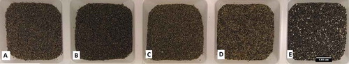 Figure 1. Photographs of whole bran treatments milled from the same chia seeds; scale bar represents 1.61 cm. The A treatment is described as Chia “stabilized flour”, with particle size varying (1.25-<0.5 mm). The B treatment was milled is described as Chia “Size Small”, with particle size varying (0.73-<0.5 mm). The C treatment was milled is described as Chia “Size Medium”, with particle size varying (0.73-<0.5 mm). The D treatment was milled is described as Chia “Size Big”, with particle size varying (1.25-<0.5 mm). The E treatment was milled is described as Chia “Whole”, with size varying (1.60-<0.73 mm).