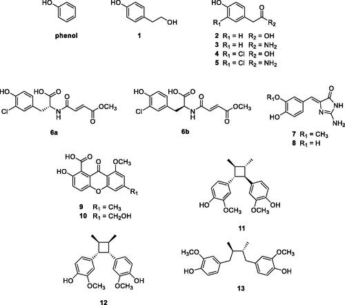 Figure 4. Phenol and NP based phenols screened as hCA VA/VB inhibitors.