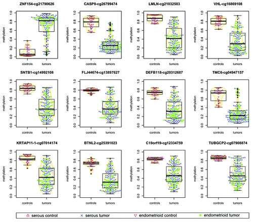 Figure 1. Methylation levels in tumors vs. normal controls for ovarian and endometrial cancer samples. For each probe, points associated with individual samples are drawn over the corresponding boxplots and violin-plots. The vertical axis shows the β value associated with each point, with values ranging from 0 (completely unmethylated) to 1 (completely methylated). Median values of methylation for each sample class are shown in Table 1.