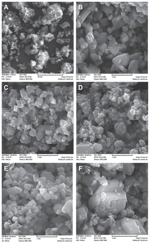 Figure 1 SEM photographs of 5-FU Particles before and after processing by supercritical anti-solvent. Ball milled A, M2 B, MD1 C, MD2 D, MA1 E, and ME1 F.