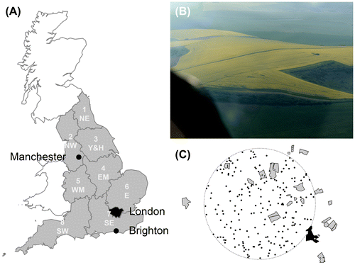 Figure 1. (A) Great Britain showing London (black) and the eight English agricultural regions (grey: North East (NE), North West (NW), Yorkshire and the Humber (Y & H), East Midlands (EM), West Midlands (WM), East of England (E), South East (SE), South West (SW)). Numbers in the regions correspond to the region numbers in Table 1. (B) 2014 aerial photograph of oilseed rape fields near Brighton in the South East study area. (C) Mapped oilseed rape (OSR) fields from the aerial survey that includes B; OSR fields are the grey and black polygons, with the black polygon denoting the fields shown in B; dots are uniform-randomly distributed point locations, which represent simulated honeybee hives, within a 5 km radius (dotted line) from the centre of the SE study area, from each of which distances to the nearest OSR fields were determined (note, for clarity only 200 point locations are shown but 1000 were used in the simulations).