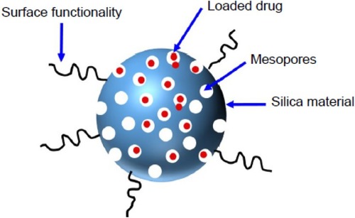 Figure 20 A schematic illustration of silica nanoparticle.Notes: Reproduced from ud Din F, Aman W, Ullah I, et al. Effective use of nanocarriers as drug delivery systems for the treatment of selected tumors. Int J Nanomed. 2017;12:7291-7309.Citation8
