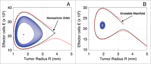 Figure 3. Classification of the system trajectories. (A) Homoclinic orbit of the saddle point H (star) when the spiral point L (dot) is stable. (B) The unstable manifold of the saddle point H (star) when the spiral point L (dot) is unstable.
