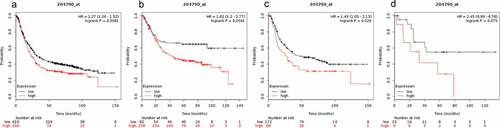 Figure 7. Prognostic value of SMAD7 expression in gastric cancer