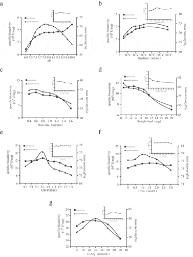 Figure 2. Single factor experiments. (a) The impact of different pH. (b) The impact of urea gradient. (c) The impact of flow rate. (d) The impact of sample load. (e) The impact of the GSH/GSSG. (f) The impact of urea concentration. (g) The impact of L-Arg concentration.