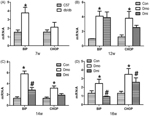 Figure 5. mRNA expression levels of BIP and CHOP in islets. Con, C57 mice; Dmo, vehicle-treated db/db mice; Dmi, SB203580-treated db/db mice (*, p < 0.05, Dmo vs. Con; #p < 0.05, Dmi vs. Dmo).