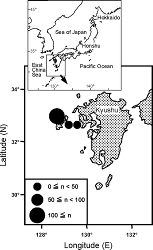 Fig. 1  The location of Seriola lalandi commercially caught in the waters off western Kyushu. The size of circle indicates the number of fish caught at each site in the present study. The total number of collected specimens of gold striped amberjack was 164.