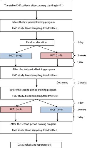 Figure 1 Flow of participants through each period of training program.Abbreviations: MICT, moderate-intensity continuous training; HIIT, high-intensity interval training; FMD, flow-mediated dilatation.