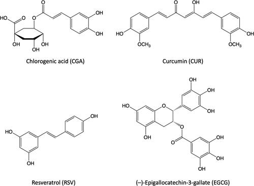 Figure 1. Chemical structures of chlorogenic acid (CGA), curcumin (CUR), epigallocatechin gallate (EGCG), and resveratrol (RSV).