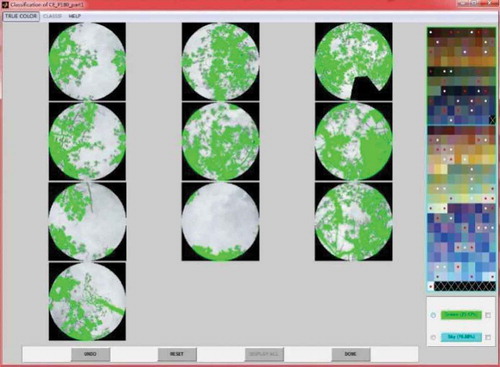 Figure 3. Hemispherical images classification with CAN-EYE, green pixels represent the vegetation.